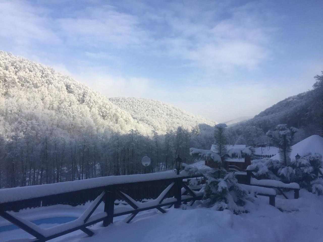 Hotel Sadyba Sribne Dzherelo Ilnytsya Exterior foto
